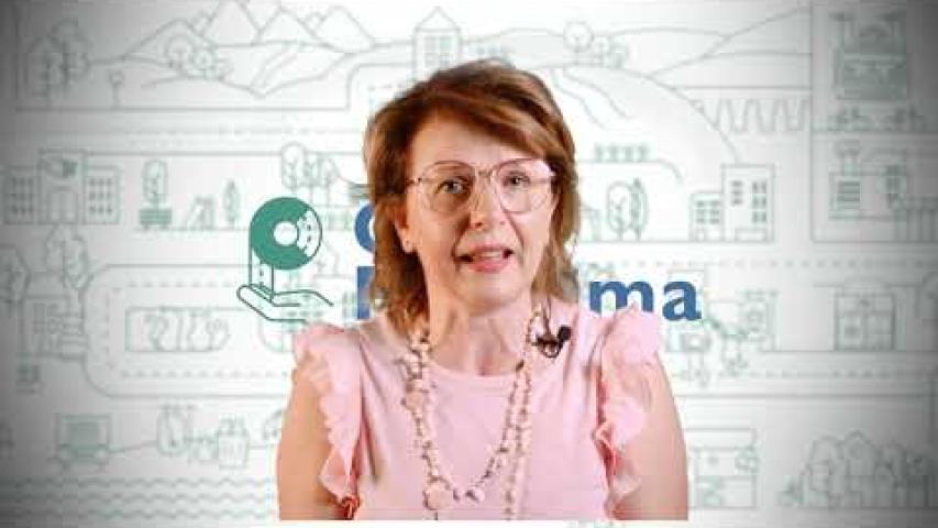 Preview image for the video "La fata turchina".